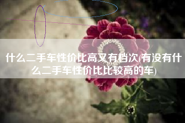 什么二手车性价比高又有档次(有没有什么二手车性价比比较高的车)