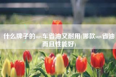 什么牌子的suv车省油又耐用(哪款suv省油而且性能好) 什么牌子的suv车省油又耐用(哪款suv省油而且性能好)