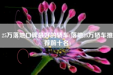 25万落地口碑最好的轿车(落地25万轿车推荐前十名) 25万落地口碑最好的轿车(落地25万轿车推荐前十名)