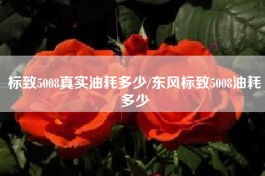 标致5008真实油耗多少/东风标致5008油耗多少