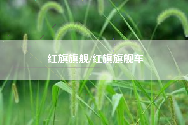 红旗旗舰/红旗旗舰车 红旗旗舰/红旗旗舰车