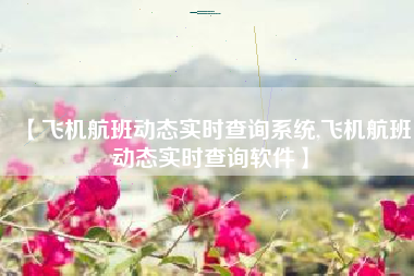 【飞机航班动态实时查询系统,飞机航班动态实时查询软件】 【飞机航班动态实时查询系统,飞机航班动态实时查询软件】